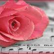 Роза на нотах - Открытки с розами