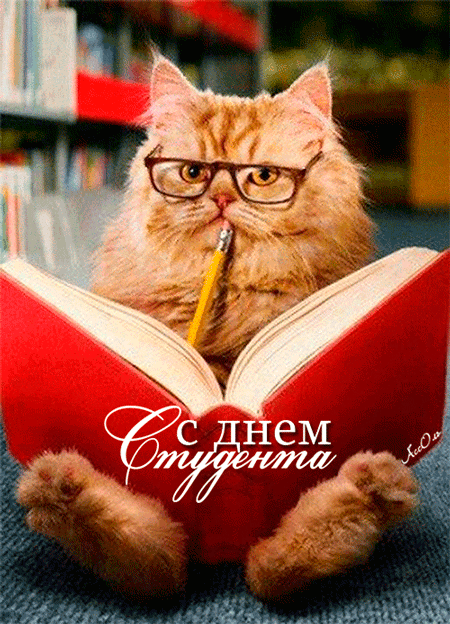 Прикольная картинка с Днем Студента День Студента