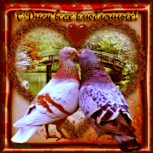 Любовь и голуби