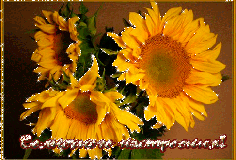 Солнечного настроения