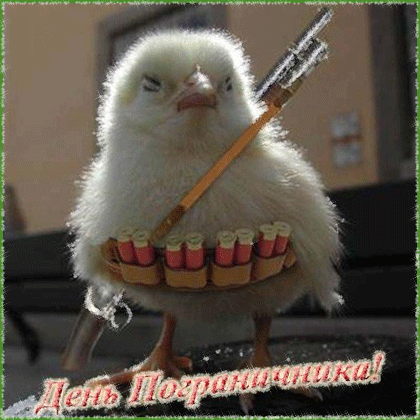 Прикольные картинки с Днем Пограничника Открытки с днем пограничника