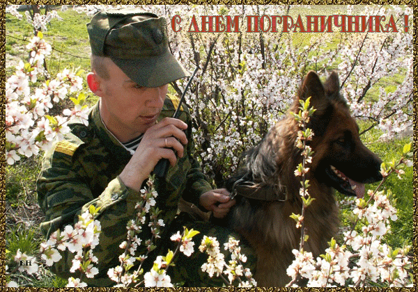 Анимация с днем пограничника Открытки с днем пограничника