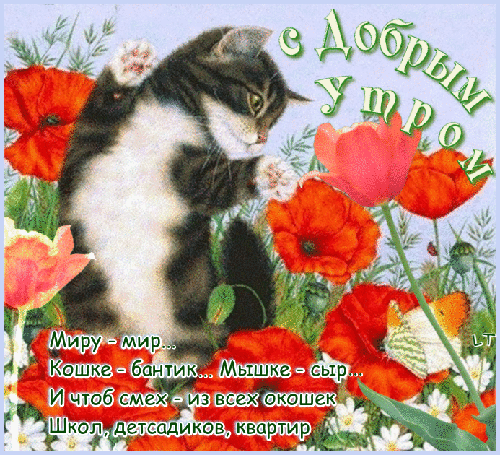 Доброе утро пожелание - Доброе утро, gif скачать бесплатно