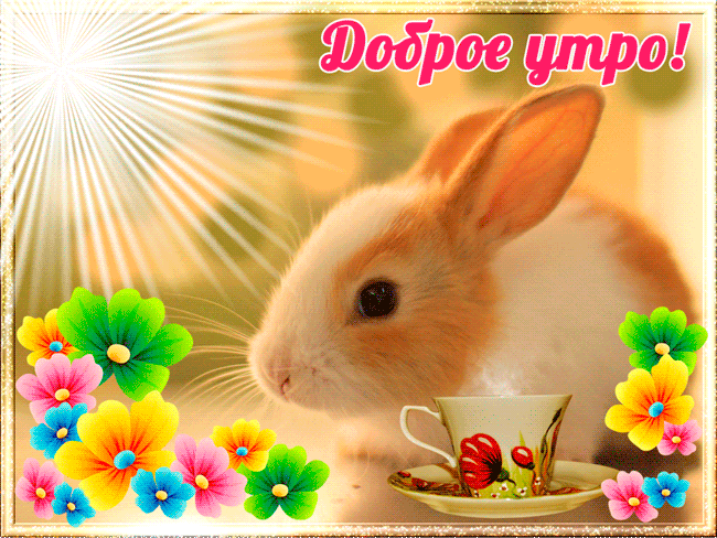 Открытка анимация Доброе утро Доброе утро