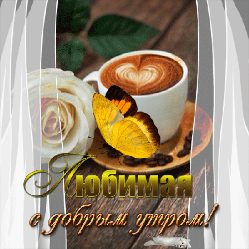 Любимая, с добрым утром! Доброе утро